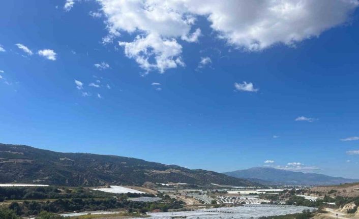 Çekirdeksiz üzümler koruma altında