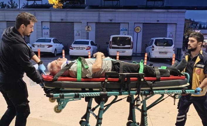 Ceviz ağacından düşen adam ağır yaralandı