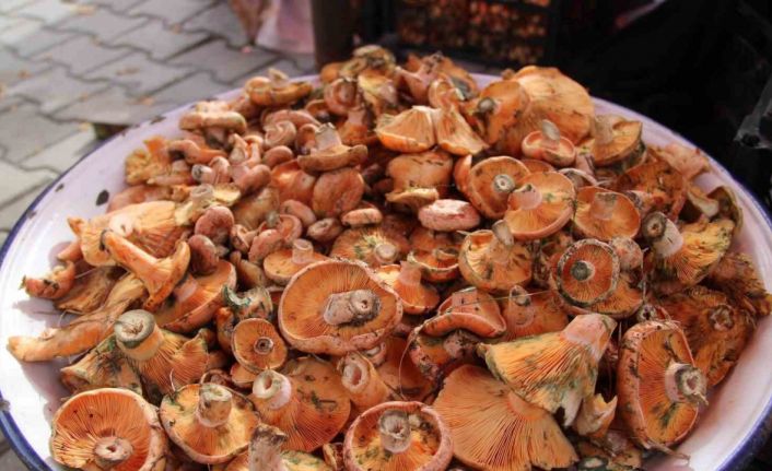 Çıntar pazar tezgahlarında yerini aldı