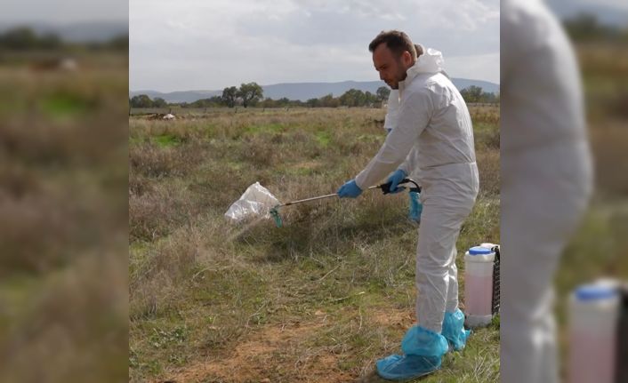 Çivril Belediyesi ilçede yaşanılan şap hastalığı için çalışmalarını sürdürüyor