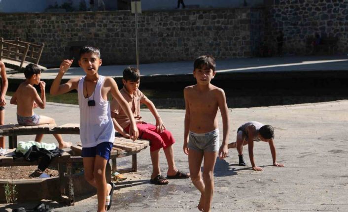 Çocuklar ’ekim’ dinlemedi, Anzele’nin yolunu tuttu