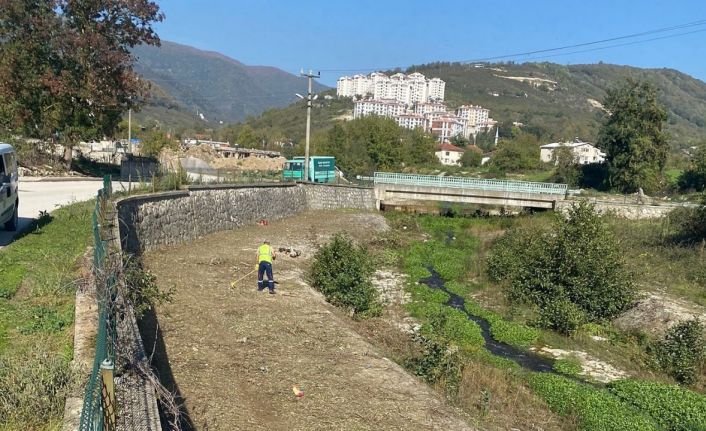 Daha temiz bir Çilimli için çalışmalar sürüyor