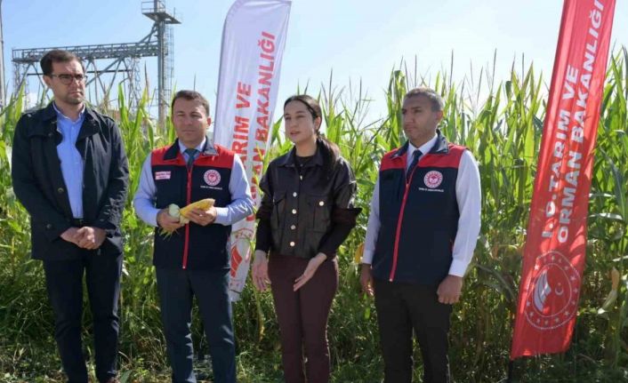 Denizli’nin toprakları organik maddelerle bereketleniyor