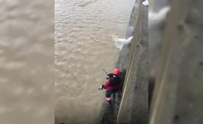 Derede mahsur kalan köpeği itfaiye ekibi kurtardı