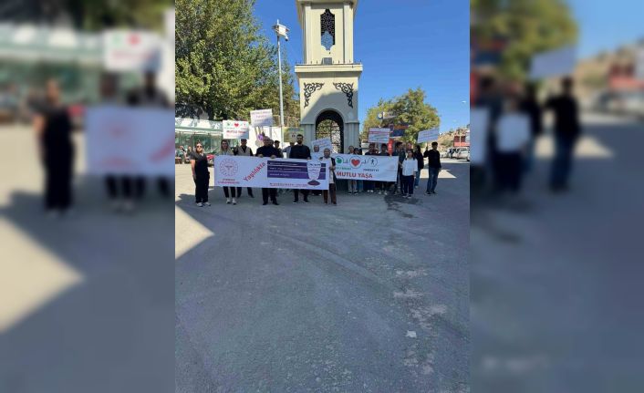 Dicle’de sağlıkçılardan Dünya Yaşlılar ve Yürüyüş Günü etkinliği