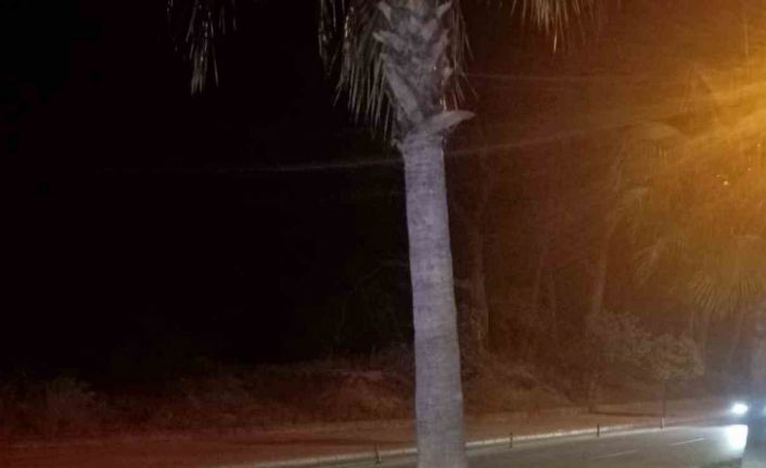 Direğe çarpan motosiklet sürücüsü hastanede öldü