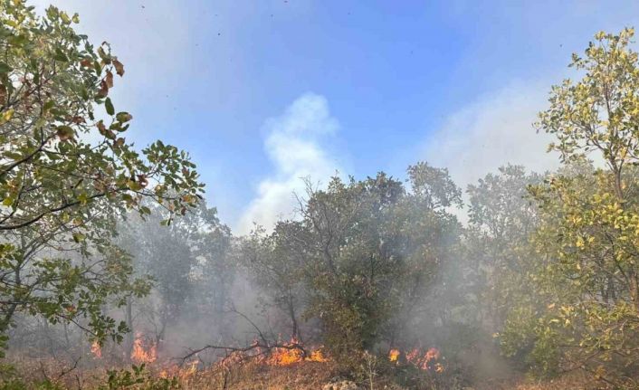 Diyarbakır’da örtü yangını 7 saat sonra helikopter desteğiyle söndürüldü