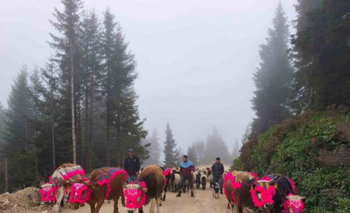 Doğu Karadeniz’de yaylalardan dönüşler hızlandı