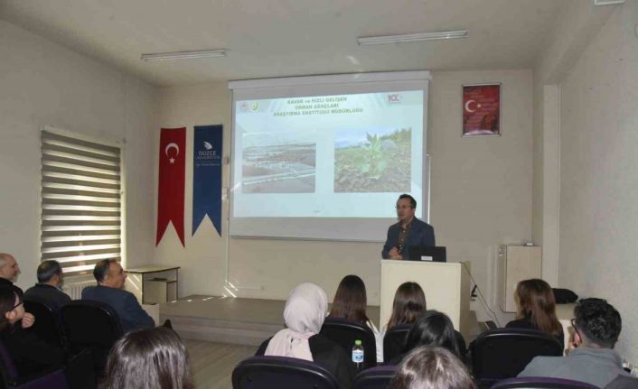 Dünyada 4,059 milyar hektar ormanlık alan