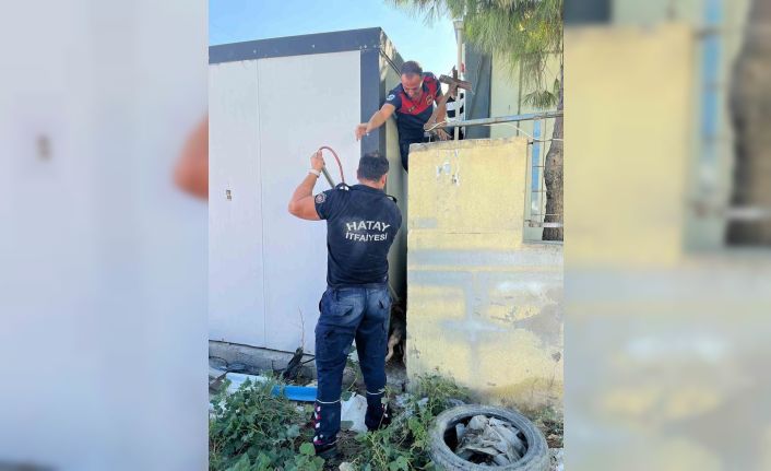 Duvar ile konteyner arasında sıkışan köpeği itfaiye kurtardı