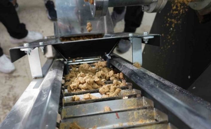 Düzce’de sokak hayvanları için mama üretim tesisi kuruldu