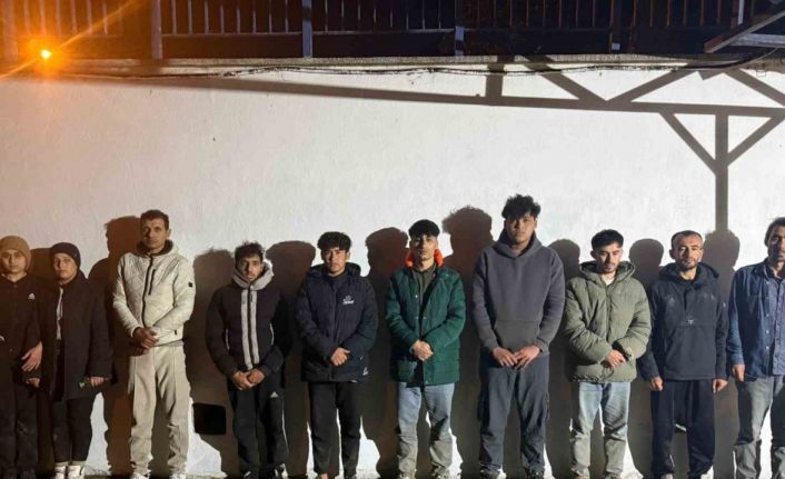 Edirne’de 17 düzensiz göçmen yakalandı