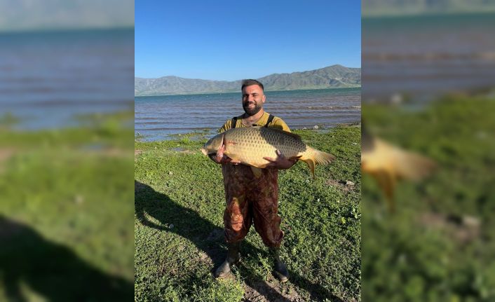 Elazığ’da amatör balıkçı 32 kiloluk dev sazan yakaladı