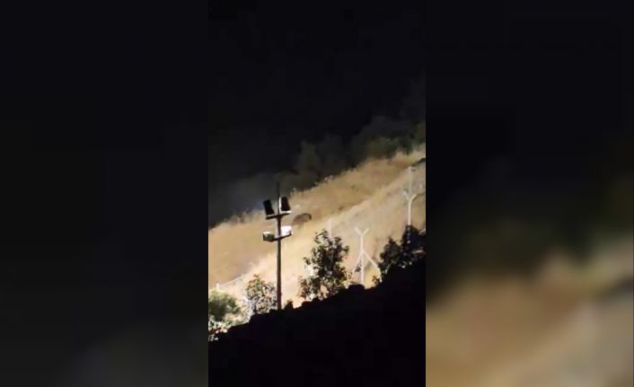 Elazığ’da ayılar kış uykusu öncesi yiyecek ararken görüntülendi