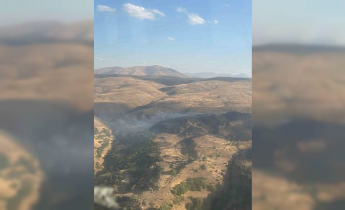 Elazığ’da kırsal alan yangını kontrol altına alındı