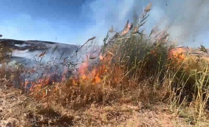 Elazığ’da otluk alanda yangın