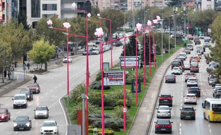 Erken teşhis için sokak lambaları pembe yanıyor