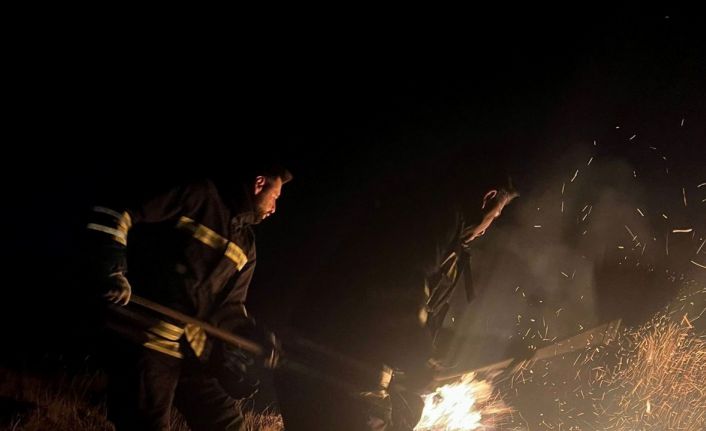 Erzincan’da örtü yangını söndürüldü