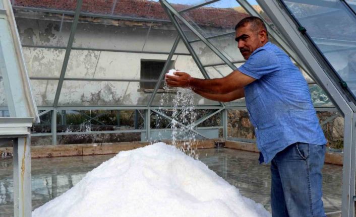 Erzincan’ın dağlarından sofralara