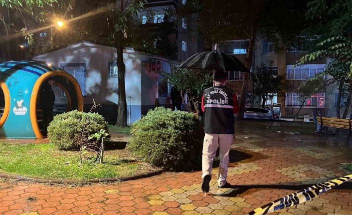 Eski eşi ve kayınvalidesini öldüren şüpheli kendini vurdu