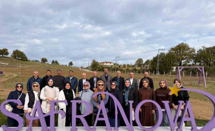 Eski Tarım Bakanı Mehdi Eker safran hasadı yaptı