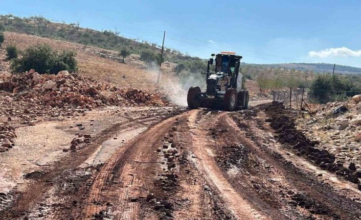 Etkili olan yağmur tarlaları sular altında bıraktı