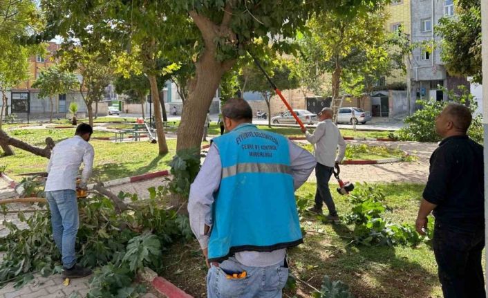 Eyyübiye’deki parklarda bakım ve yenileme çalışması