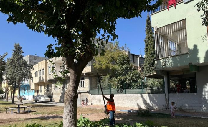 Eyyübiye’deki parklarda sonbahar bakımı
