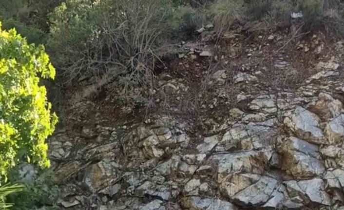 Fethiye’de 43’ü çocuk 65 düzensiz göçmen ve 4 göçmen kaçakçısı yakalandı