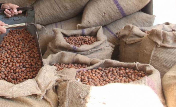 Fındıkta üreticinin 400 lira hedefi başka bahara kaldı