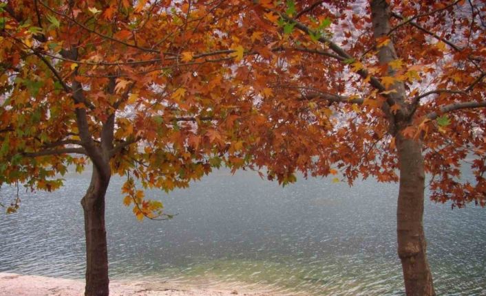 Fırat’ın sessiz akışına sonbahar renk kattı