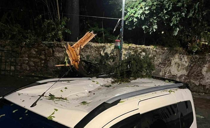 Fırtınanın devirdiği ağaç park halindeki aracın üzerine düştü