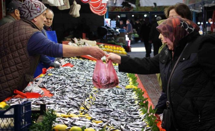 Fiyatı düşen hamsiye talep arttı: "Son 10 yıldır böyle güzel hamsi gelmedi"