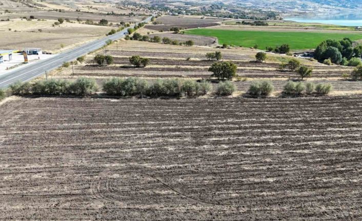 Fransa’dan köyüne döndü, sera kurulumu için çalışmalara başladı