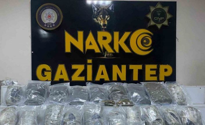 Gaziantep’te 13 kilo skunk ele geçirildi