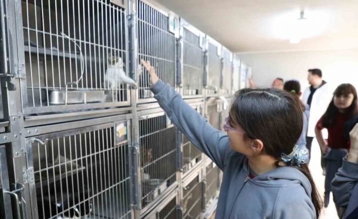 Gaziosmanpaşa’da Dünya Hayvanları Koruma Günü’ne özel etkinlik