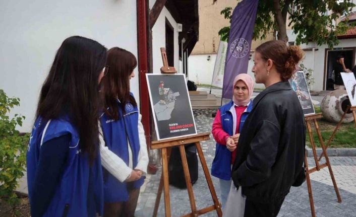 Gazze’de yaşanan dramı afişlerle anlattılar