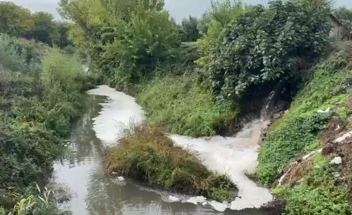 Gemlik Körfezi’nde kirlilik endişeye yolaçıyor