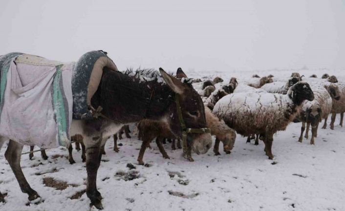 Göçerler kara yaylada yakalandı