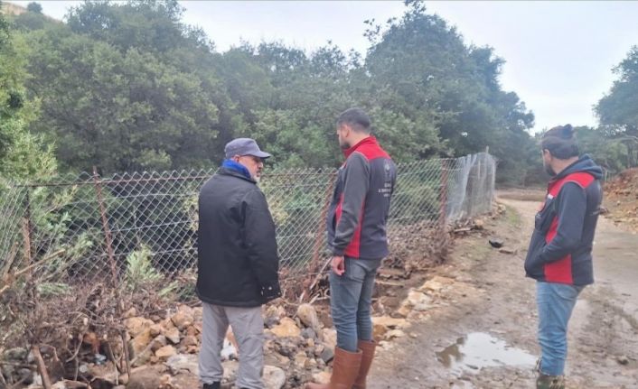 Gökçeada’da zarar gören ekili ve dikili alanlarda hasar tespit çalışmaları devam ediyor