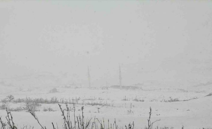 Gümüşhane’nin yüksek kesimleri kara teslim oldu