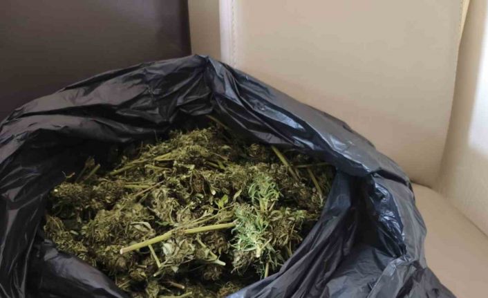 Güvercin kümesinde uyuşturucu ele geçirildi