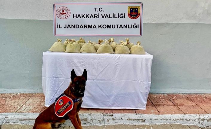 Hakkari’de 15 kilogram esrar ele geçirildi