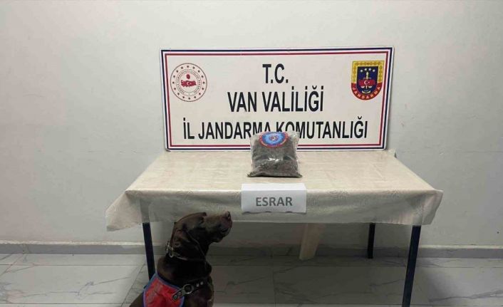 Hakkari’de kubar esrar ele geçirildi