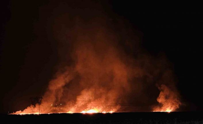 Hakkari’de kuş cenneti Nehil Sazlığı’ndaki yangın köyleri tehdit ediyor