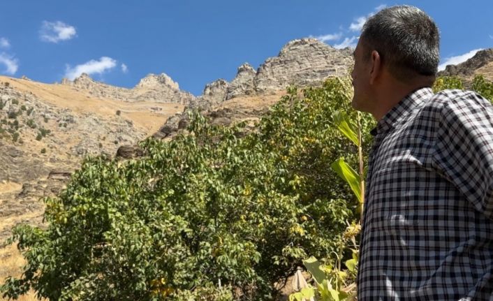 Hakkari’nin ’Dağ Keçileri Kalesi’ dikkat çekiyor