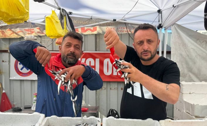 Hamsinin fiyatı 70 liraya indi, tezgahlar şenlendi