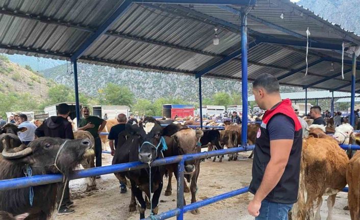 Hayvan pazarı şap hastalığı nedeniyle kapatıldı