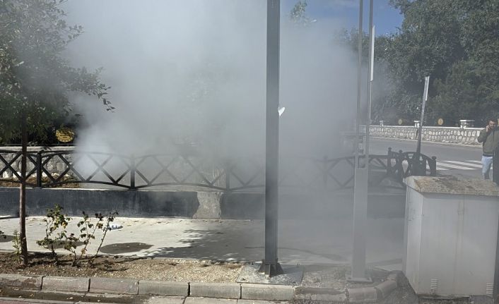 İlaçlama faaliyetini yangın sandılar