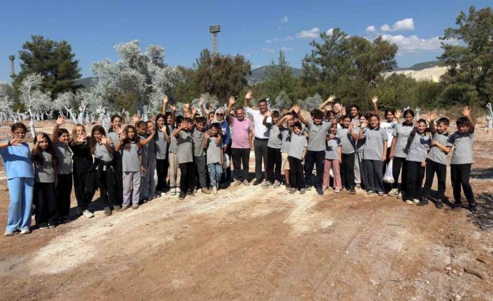 İlkokul öğrencileri 300 zeytin fidanını toprakla buluşturdu